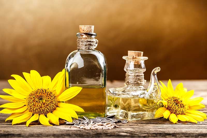 Los 5 beneficios imprescindibles del aceite de girasol – Aceite Sandua