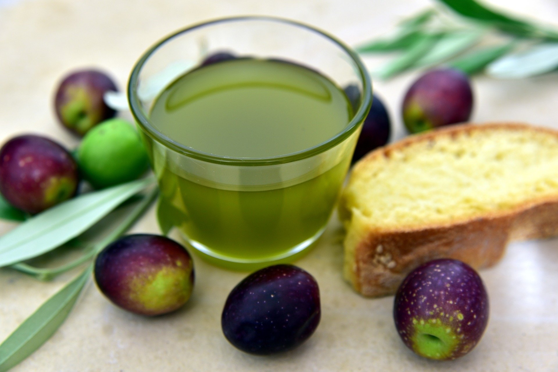 Aprende a catar aceite de oliva virgen extra en casa