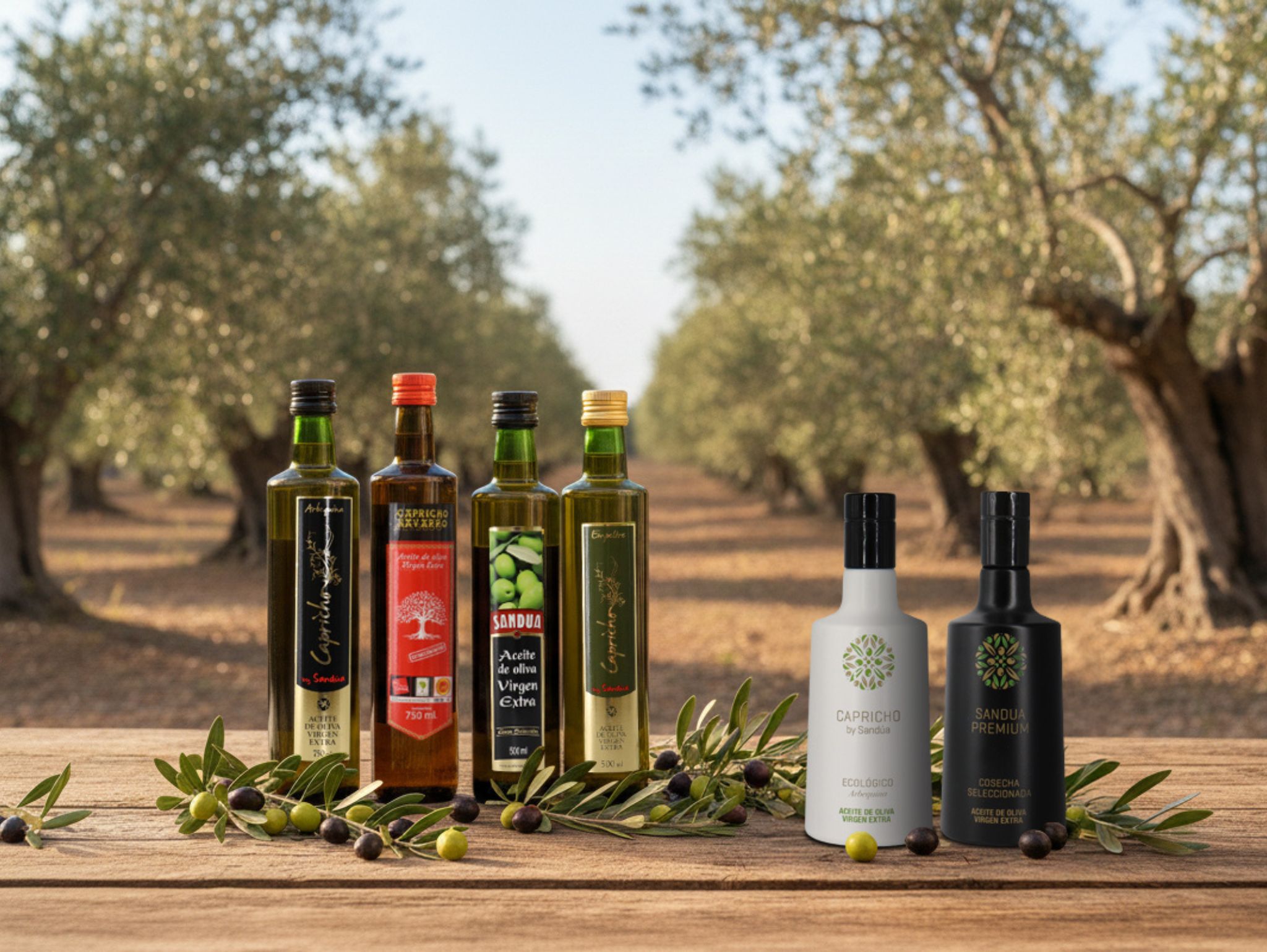 Huiles d'olive de la nouvelle récolte, à leur apogée en termes de saveur et d'arôme
